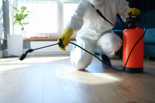 Reliable Odor Removal contractor in Tahuya, WA by Trauma Clean Pros